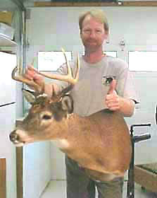 Ohio whitetail mounted on one of the REAL DEER taxidermy forms.